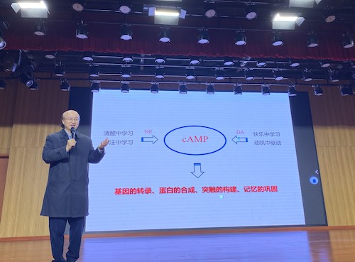 “教育的脑科学问题”科普报告3