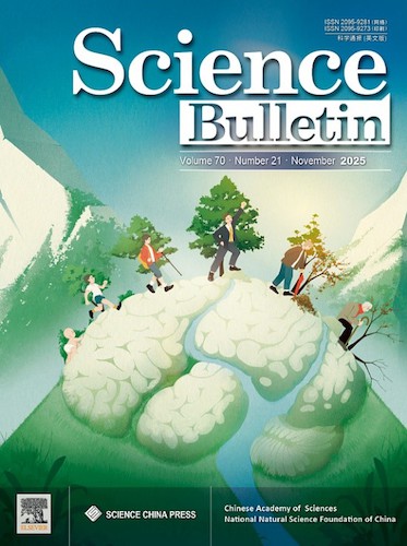 李政汉文章封面