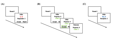 图2. 观察阶段流程